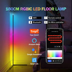 Smart RGBIC LED Floor Lamp